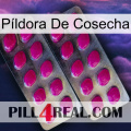 Píldora De Cosecha 10